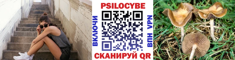 Псилоцибиновые грибы GOLDEN TEACHER  Ужур 
