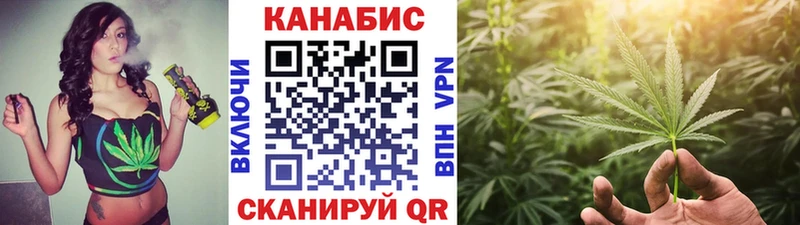 Конопля SATIVA & INDICA  Ужур 
